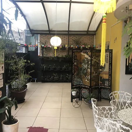 Hostel Ipê-3